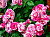 371eabf919dbaf020571dfc9f0cefa4d