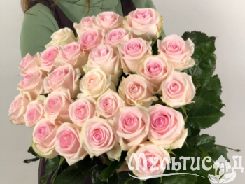 Креатив без названия (3)