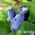 zeyv7yov8qv9jiaydkm5vp20mmvx09ov zeyv7yov8qv9jiaydkm5vp20mmvx09ov