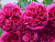 image_8242619_16324314