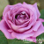 998c6bd2b01d701a8b8b9baf898dceb5 998c6bd2b01d701a8b8b9baf898dceb5