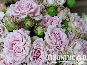 Креатив без названия (35)