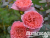 image_8165532_16152349