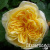 c915cbb5-8a06-11ea-8a9e-0c54a53f211f c915cbb5-8a06-11ea-8a9e-0c54a53f211f