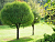 image_6895822_12900536