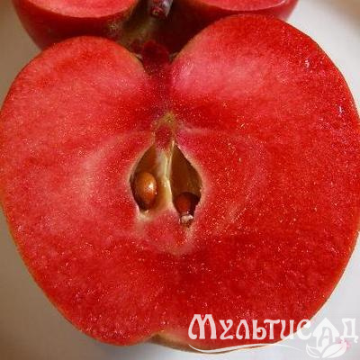 Картинка с сайта