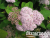image_8165532_16177891