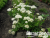 image_8165532_16178037