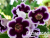 image_8096768_16082014 image_8096768_16082014