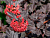 image_6895822_13180127