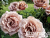 image_6893795_13531608