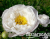 2024-07-04_13-01-49
