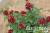 b746b67aff80aea81983e1c8c4b948df
