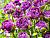 628660e3c93dffe4556a6e0b75ff3f2d