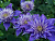 image_7681564_14978600