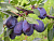 image_8255520_16450575
