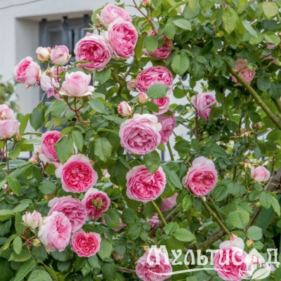 060d7a59177533893ce5e510be5ff7db