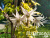 scale_1200 scale_1200