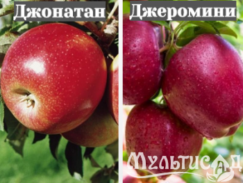 Ноябрьская (27)