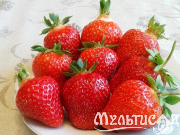 image_7681564_15015370 (1)