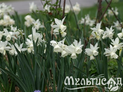 Креатив без названия (6)