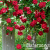f7ec5429fabfdd48ac7af0ba50cee9a9 f7ec5429fabfdd48ac7af0ba50cee9a9