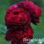 15479d44d9ef0f235ef0972fcabec2bb 15479d44d9ef0f235ef0972fcabec2bb