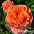 a4b0eb22971e150722f8a4e8ce002060 a4b0eb22971e150722f8a4e8ce002060