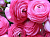 da70ba9800c1ac3bd33aaab1538435a9