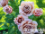 image_6893795_13531693