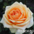 a86edbd7672915390199c76723ee16c5