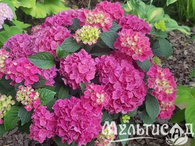 Креатив без названия (86)