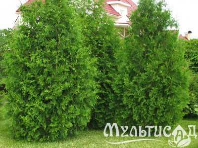 image_8255520_16356153