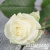 6ad9424443bf2a95b2dc91b2d5d9273a 6ad9424443bf2a95b2dc91b2d5d9273a