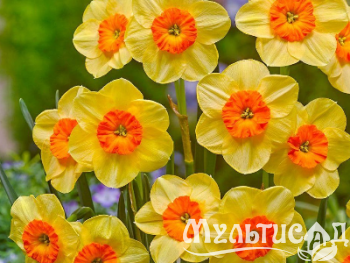 Креатив без названия (14)