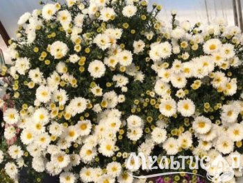 Креатив без названия (1)