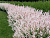 image_6895822_13180004