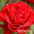 716123330821fd049dcb2d3e26c725f4 716123330821fd049dcb2d3e26c725f4