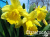 dc2941deb1093b3dba2d0f17de6daa9a dc2941deb1093b3dba2d0f17de6daa9a
