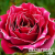 bdd175947a077dfbdd026b37d5fd1e77 bdd175947a077dfbdd026b37d5fd1e77