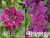 image_7681564_14978654 image_7681564_14978654