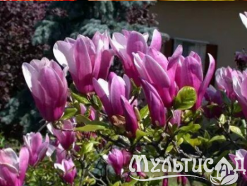 Креатив без названия (28)