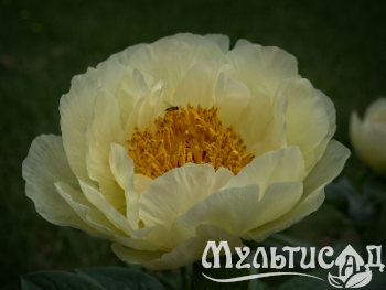 Креатив без названия (6)