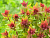 image_6895822_13180257