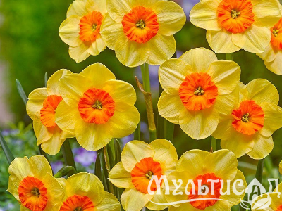 Креатив без названия (14)