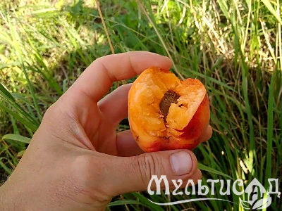 Креатив без названия (7)