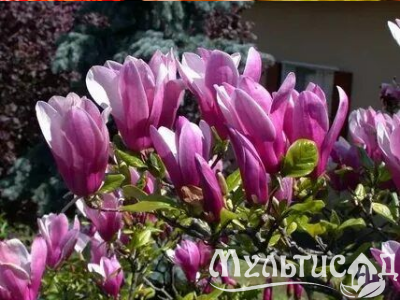 Креатив без названия (28)