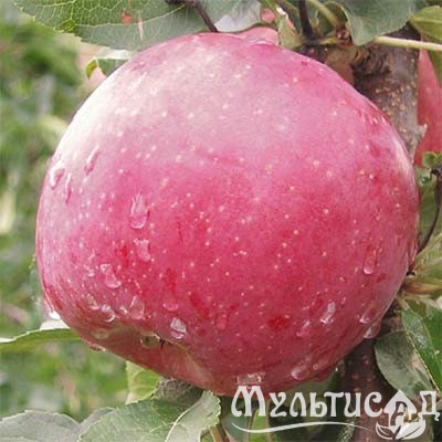 6a5433c0833f1c39a99c4e13ceb99a84