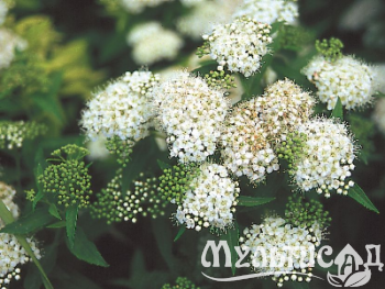 image_8165532_16178014