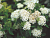 image_8165532_16178014